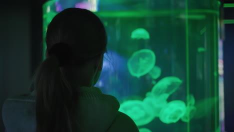 un niño mira a las medusas en un acuario