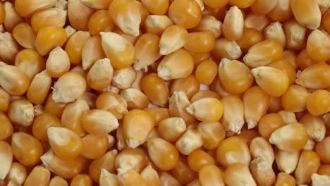 a spoon moves through a pile of corn kernels, capturing and releasing them. bright lighting highlights the shiny metal and golden kernels
