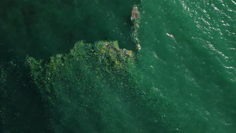 漂浮在海洋中的一次性塑料袋的海景