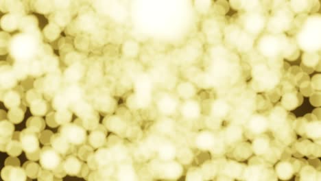 blurred bokeh background