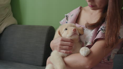 강아지 개 를 는 여자
