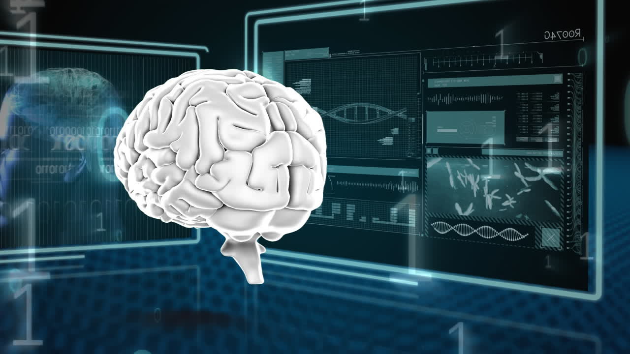 인간 뇌와 바이너리 코드