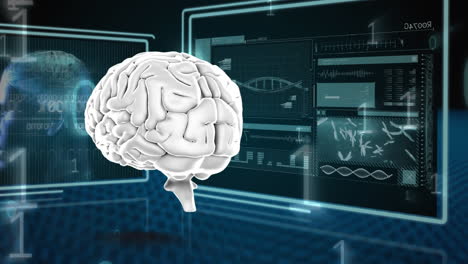 cerebro humano y códigos binarios