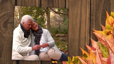 hojas de otoño y pantalla que muestra una pareja de ancianos románticos sentados en el bosque 4k