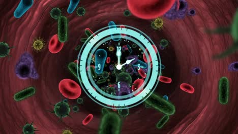 animation of clock and circular scanner rotating over covid 19 cells and blood cells