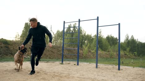 young sporty man training with his bullmastiff dog outdoors at park and preparing his pet for competition