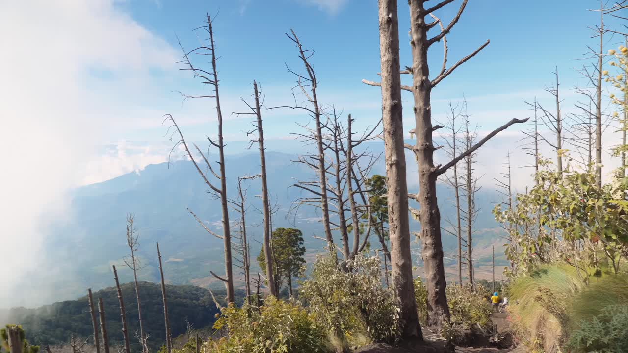 과테말라 하이킹에서 화산 위의 정상 회담 꼭대기에서 탄 숲보기
