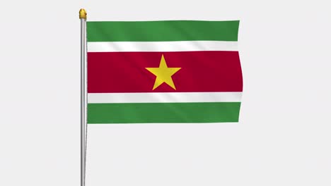 loop video of suriname flag  fluttering in the wind, slow motion video of 4k , with alpha channel