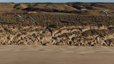 paragliding over sand dunes