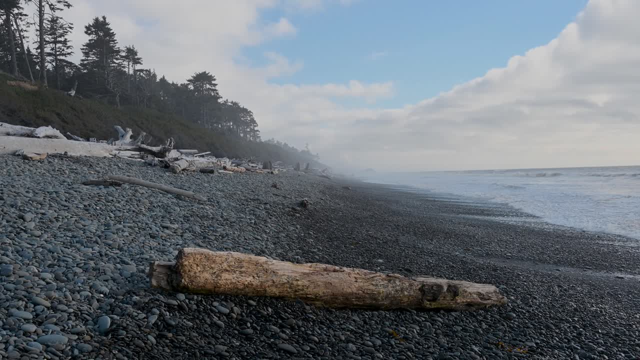 Low-angle drone shot of driftwood on a stony coastal beach with pine trees and cloudy sky in the background, evoking raw natural solitude