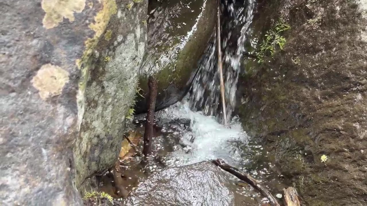 Small Waterfall Flowing Over Mossy Rocks in Forest