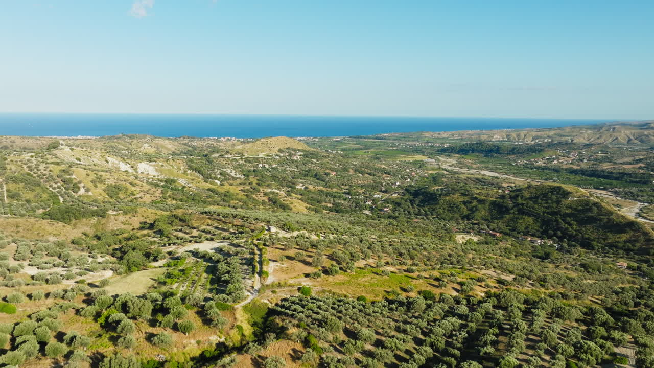 Overlooking The Mediterranean Sea Among Lands Of Olive Tree For Oil Production