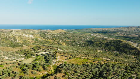 overlooking the mediterranean sea among lands of olive tree for oil production