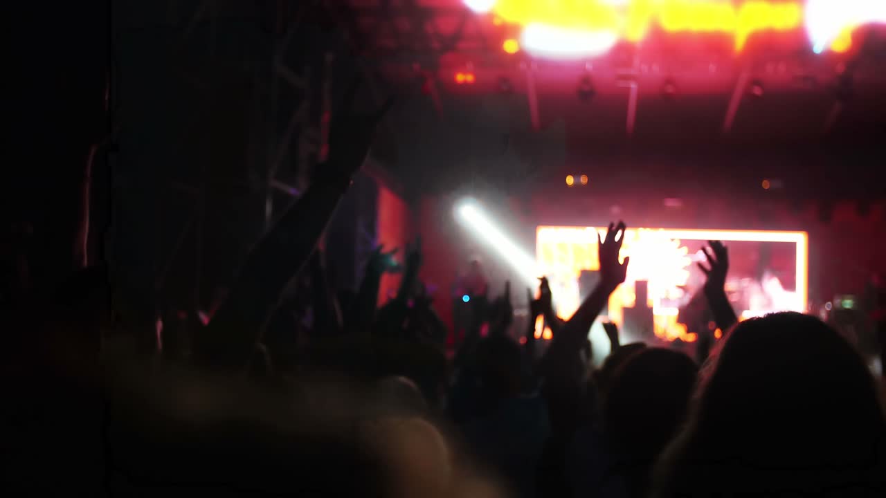 Folla eccitata a un concerto