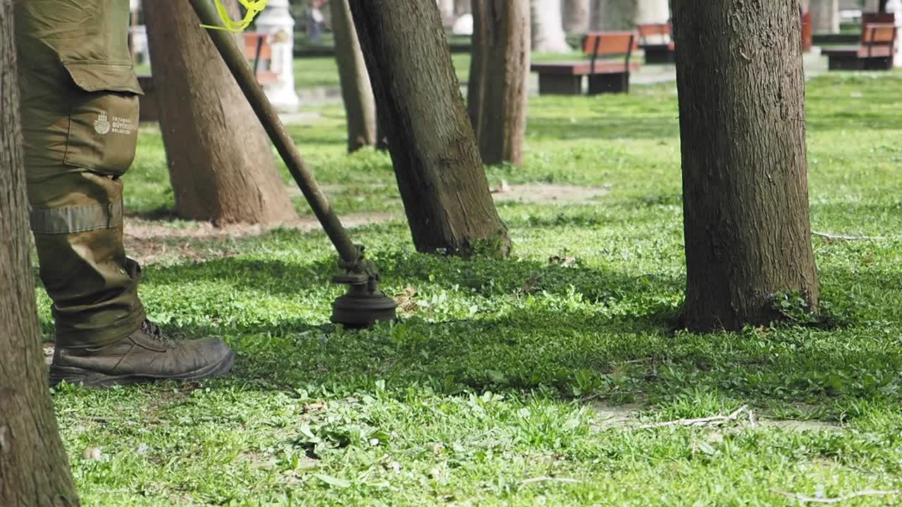 Park Maintenance Worker