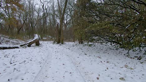 pov from the rear of off road vehicle atv while driving on a snow wide covered trail through the woods near a stream on a cloudy winter afternoon; point of view
