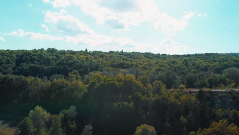 mountain forest shot throw the trees reveals all the forest aerial drone