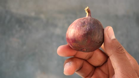 single fig in hand