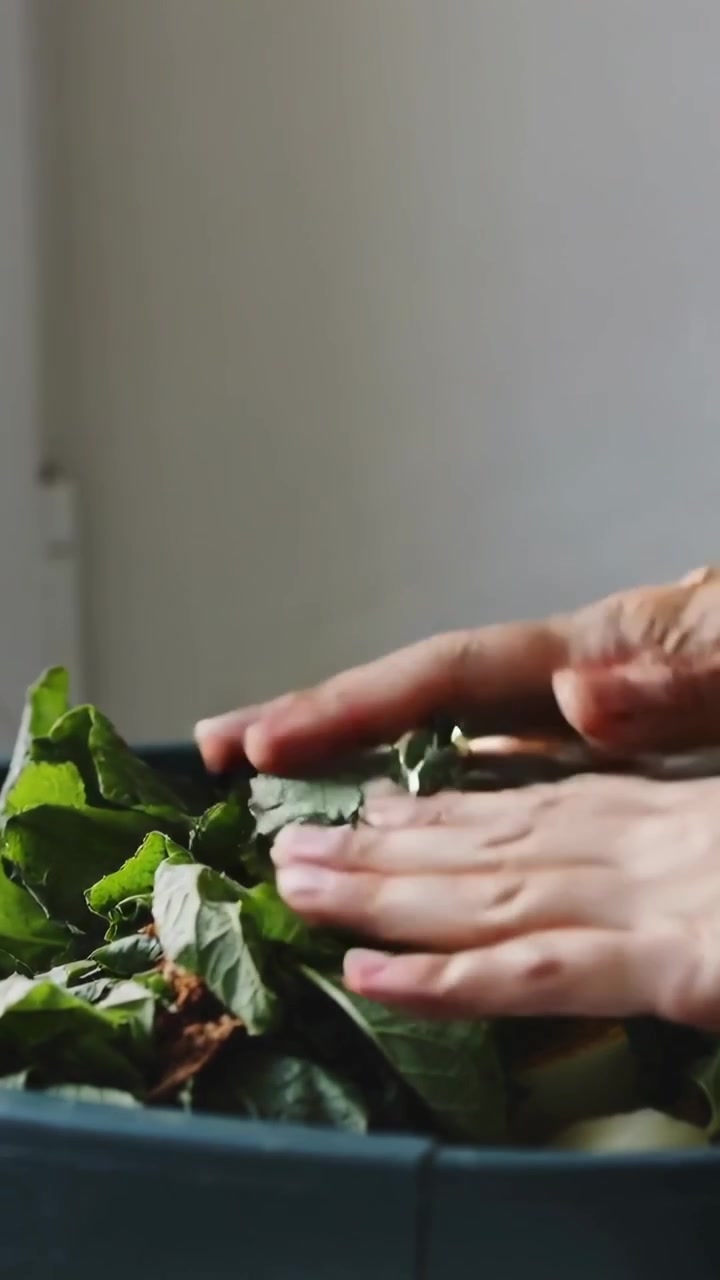 Video verticale: Dopo la preparazione in cucina, mani che dispongono verdure su uova e carne, premendo.