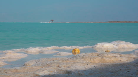 dead sea skyline scene with salty beach and islets israel