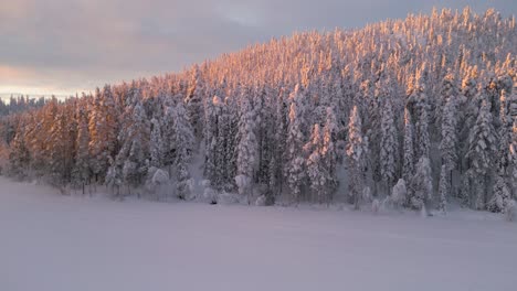 Drone-shot-rise-up-over-a-frozen-lake-and-a-winter-spruce-forest-at-sunrise