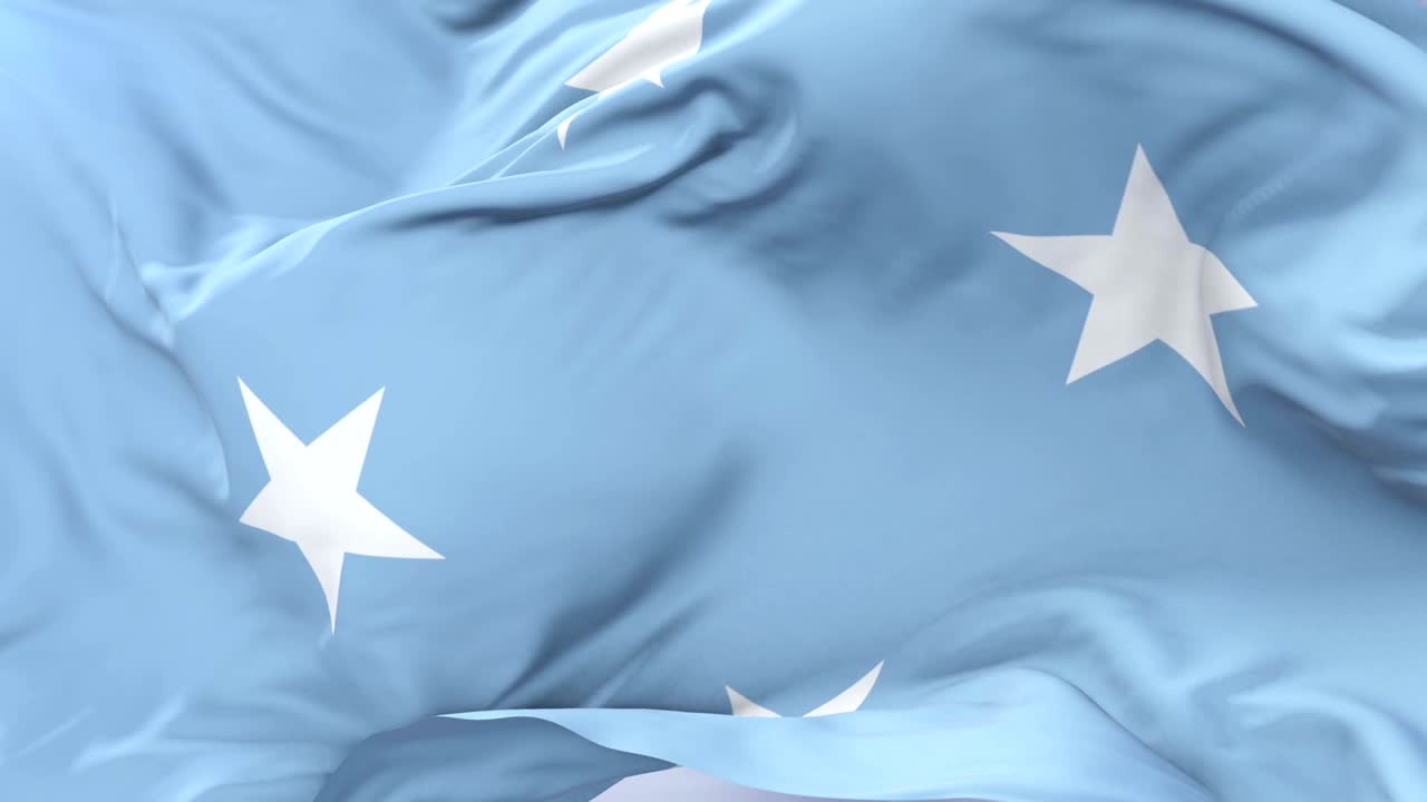 미크로네시아 연방의 발이 느리고 회전하는 바람에 흔들리고 있습니다.