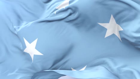 bandera de los estados federados de micronesia agitando en el viento en lento, bucle
