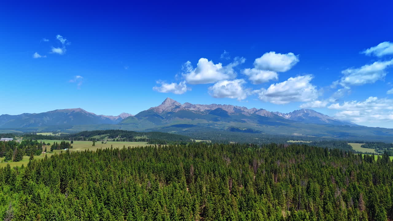 Nature landscape of Slovakia on sunny day. Drone flight over the pine tree forest in the valley. Amazing Tatra mountains at backdrop