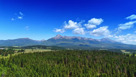 nature landscape of slovakia on sunny day. drone flight over the pine tree forest in the valley. amazing tatra mountains at backdrop