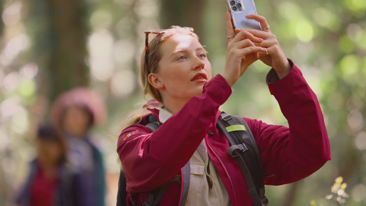mujer tomando una foto en el teléfono móvil como un grupo de amigas en una caminata de vacaciones a través de los bosques juntos