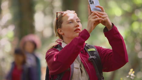 Frau-Fotografiert-Mit-Dem-Handy,-Während-Eine-Gruppe-Von-Freundinnen-Im-Urlaub-Gemeinsam-Durch-Den-Wald-Wandert