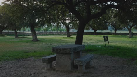 a shot of picnic furniture made of stone