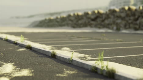 abandoned parking lot with weeds growing along the pavement in a coastal area