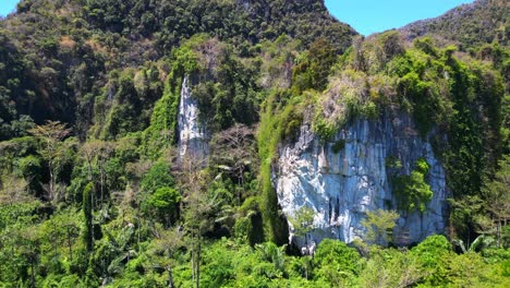 Untouched-natureInaccessible-Terra-nature-jungle-mountains