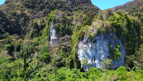 naturaleza intacta tierra inaccesible naturaleza selva montañas