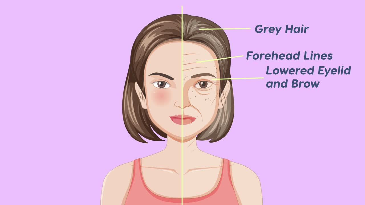 얼굴의 노화 징후의 시각적 묘사