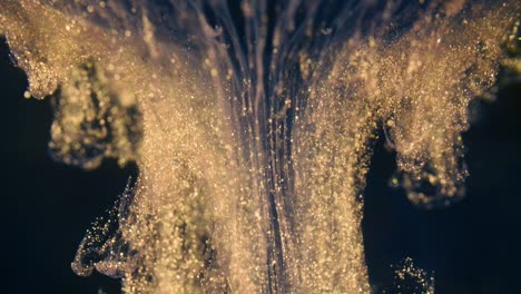 golden ink particles flows in water as colorful chaos on the black background