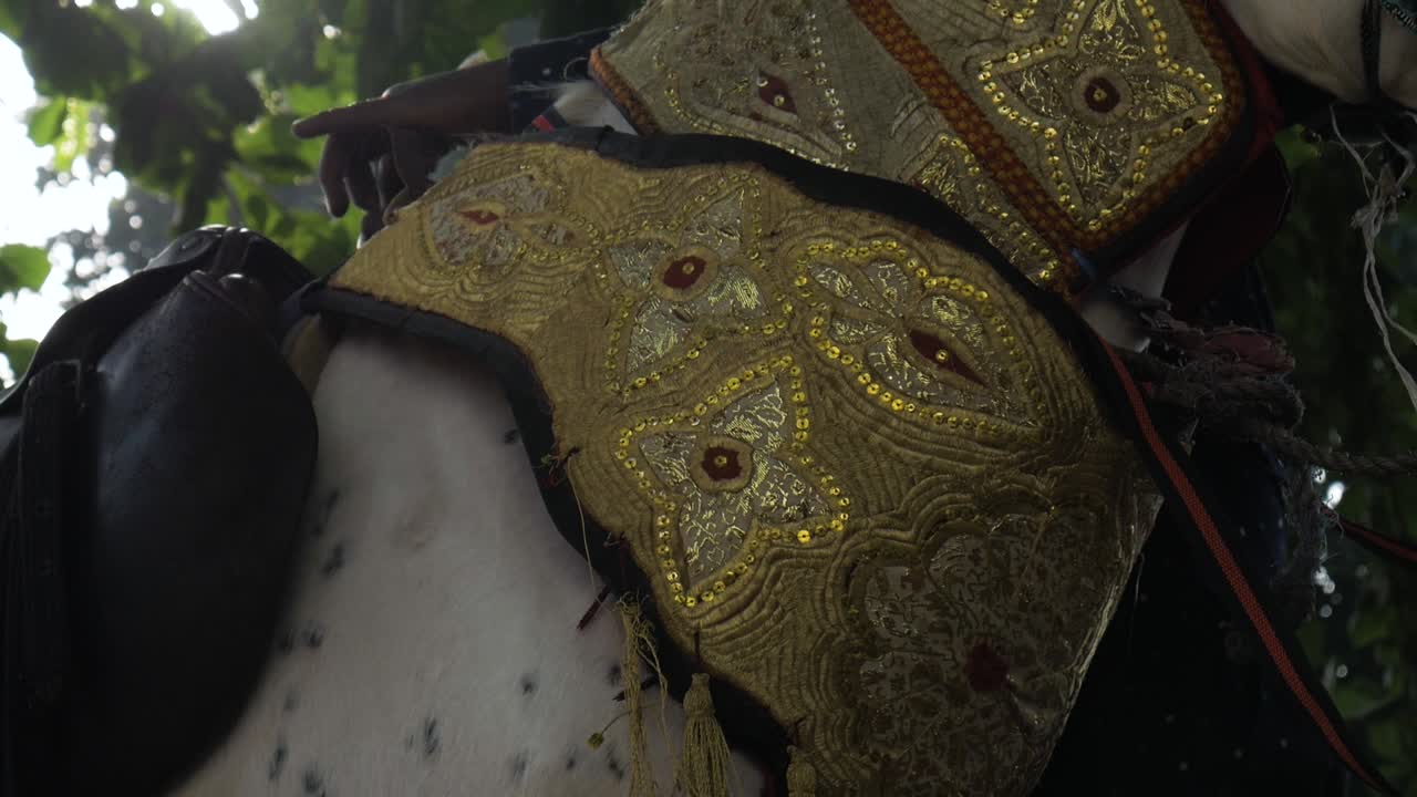 afrikansk mand dekorerer hest til durbar festival, close up