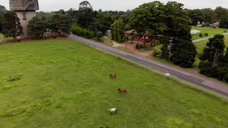 Aerial-shot-of-a-stable-of-horses