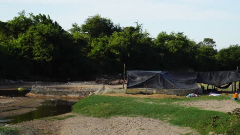 Wide-shot-showing-duck-and-chicken-farm-in-rural-area-of-Vietnam-during-sunny-day