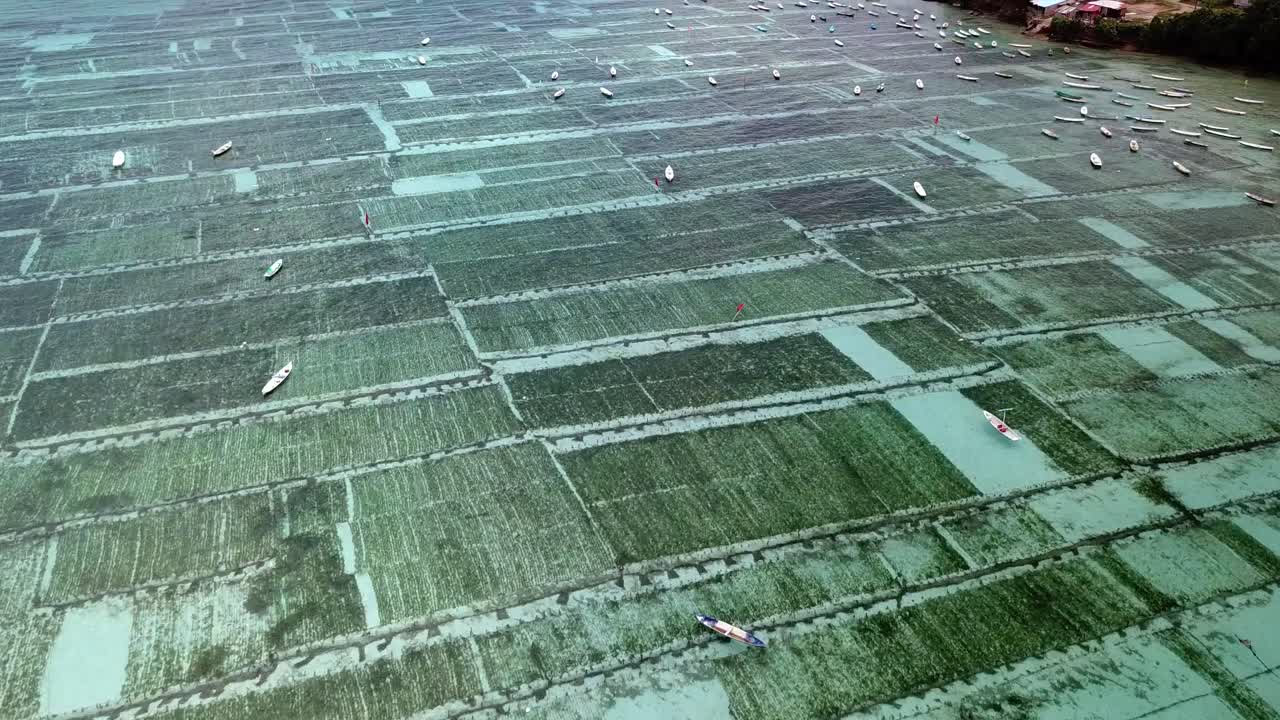 vídeo aéreo de aviones no tripulados sobre granjas de algas entre nusa lembongan y nusa ceningan, frente a la costa de bali, indonesia - volando hacia adelante y lentamente hacia arriba