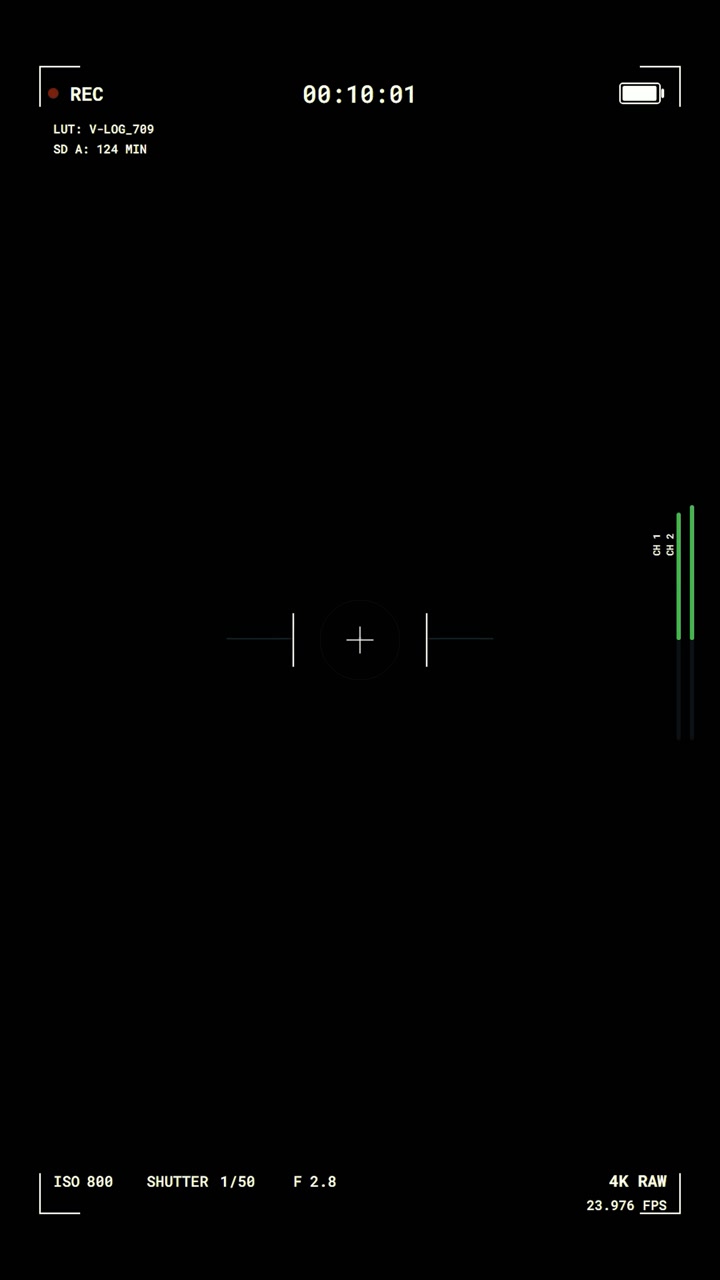 Digital Camera Recording Interface Overlay