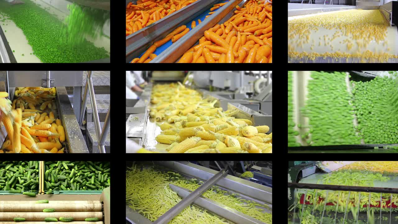 Vegetable processing in food industry, multi screen