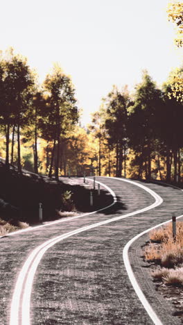 winding road through forest in autumn