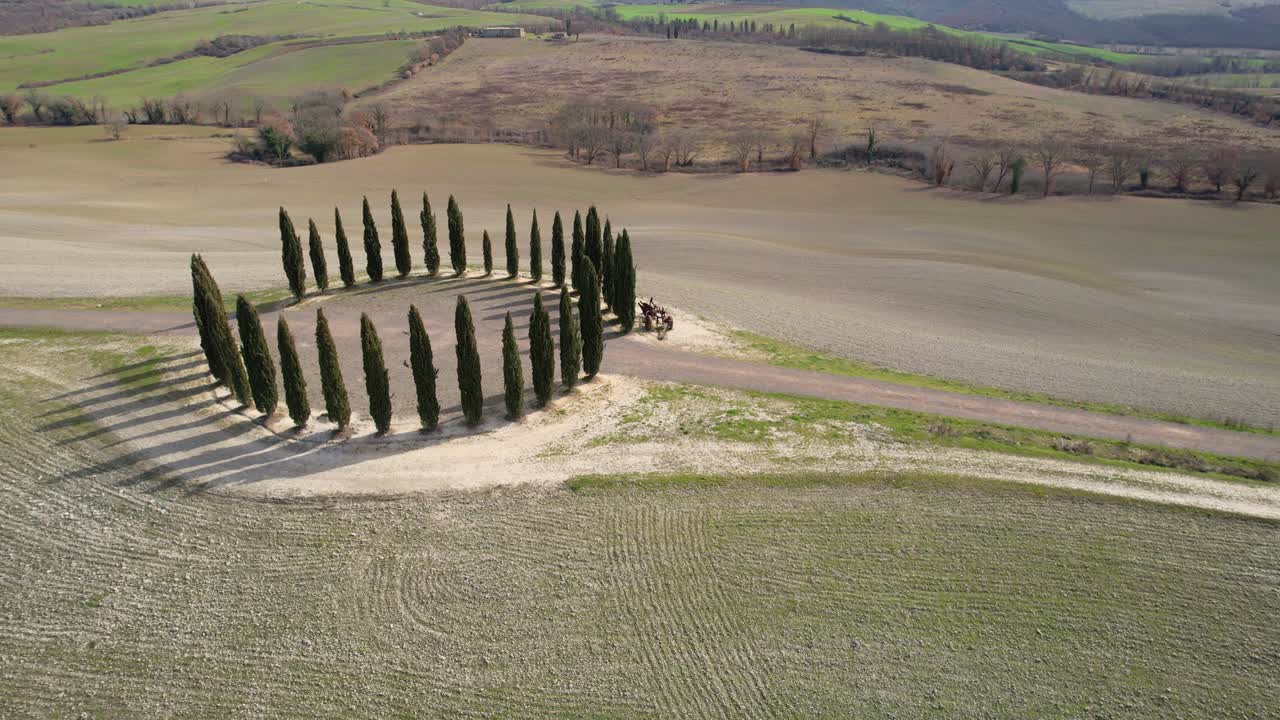 토스카니의 산 리코 드 오르시아 근처에 있는 사이프러스 나무 집단.