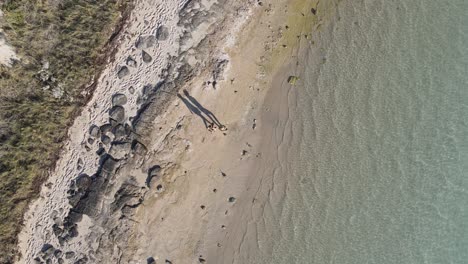 4K-Aerial-shot-of-two-people-friends-walking-on-paradise-beach-at-sunset-big-shadows