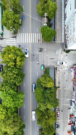 vertical top-down aerial view of a busy intersection in xinjin county, chengdu, china. captures urban traffic flow with vehicles and pedestrian crossings from a dynamic perspective.
