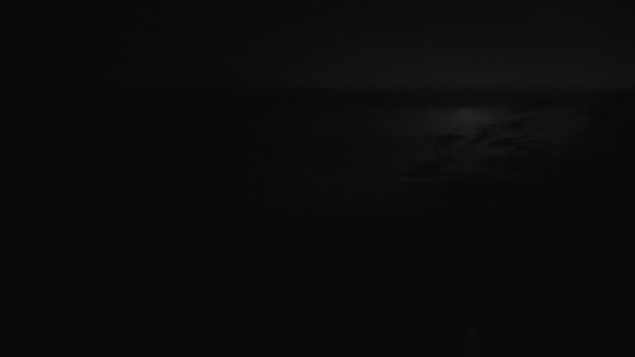 heat lightning on gloomy night in everglades sawgrass and water landscape