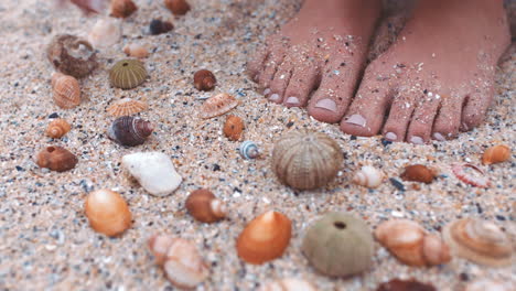 Füße-Einer-Frau,-Strand-Und-Muscheln-Sammeln