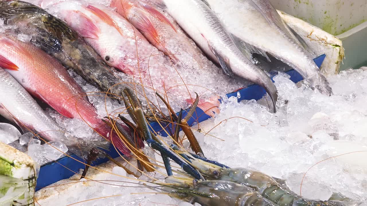 mariscos frescos en un mercado